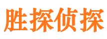 唐海市侦探公司